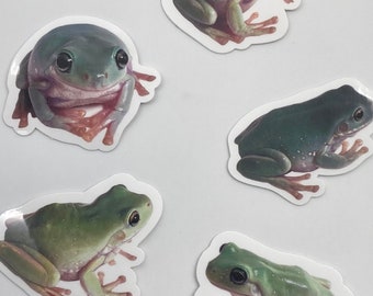 The Lazy Crazy Froggy Vinyl Sticker Pack