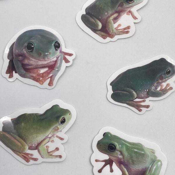 The Lazy Crazy Froggy Vinyl Sticker Pack