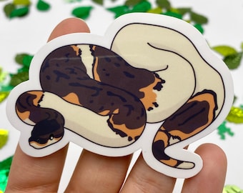 Pied Snake Vinyl Sticker