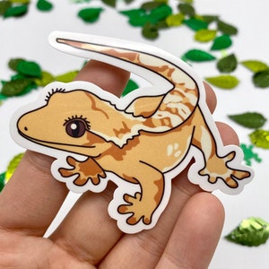 Crested Gecko Vinyl Sticker