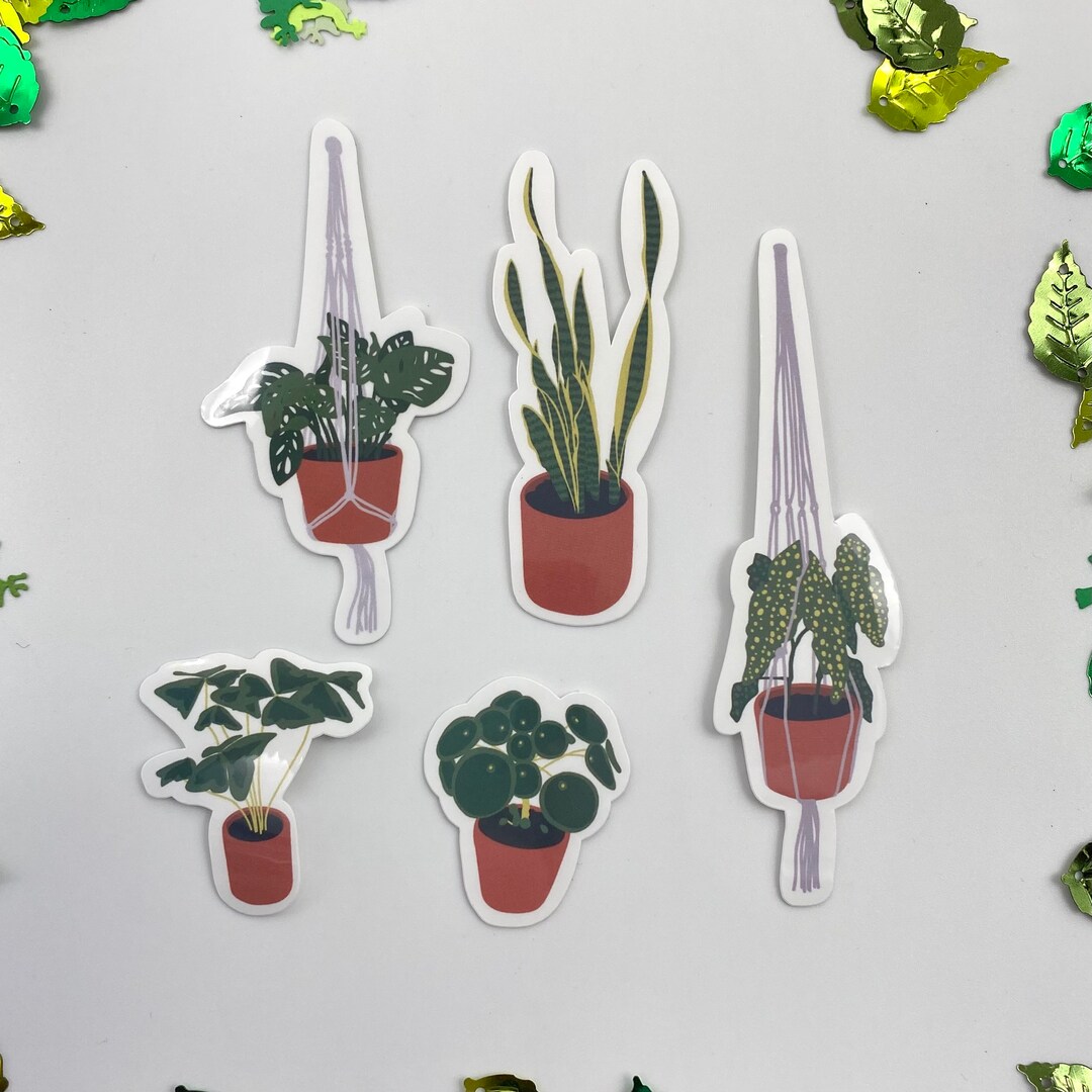 Houseplant Vinyl Sticker Pack Etsy