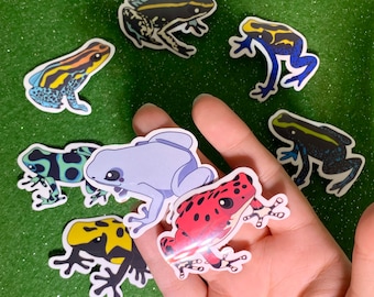 Vinylstickerpakket pijlgifkikkers (8 stickers)