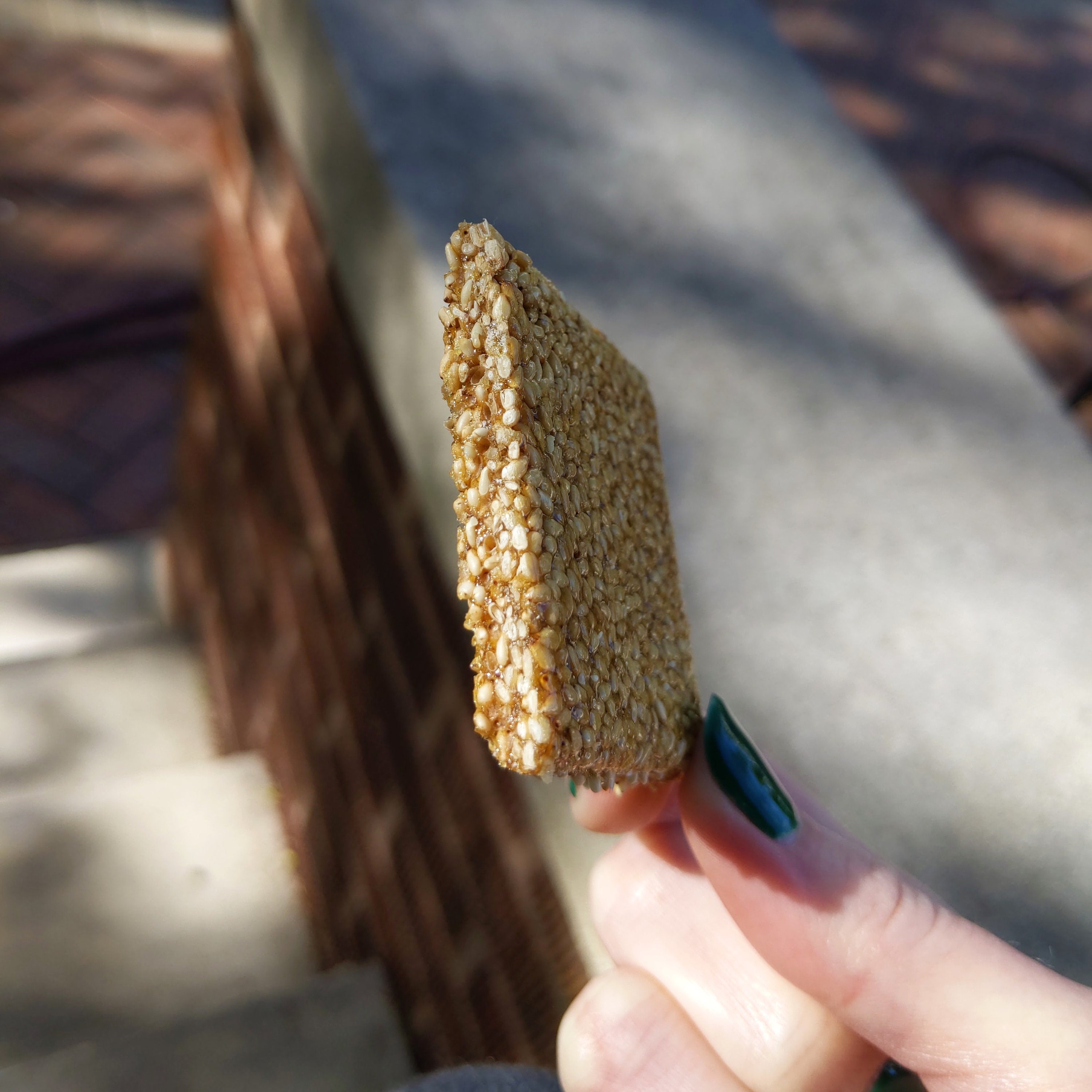 Sesame Brittle Crunch Cookies Sesame Seed Crunch Candy One Etsy