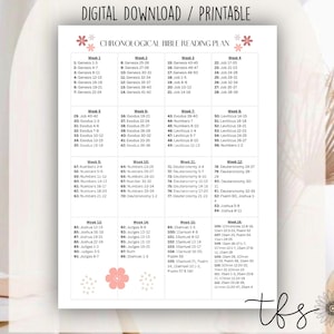 One Year Chronological Bible Reading Plan, Not Dated, PDF Printable, GoodNotes Digital Planner