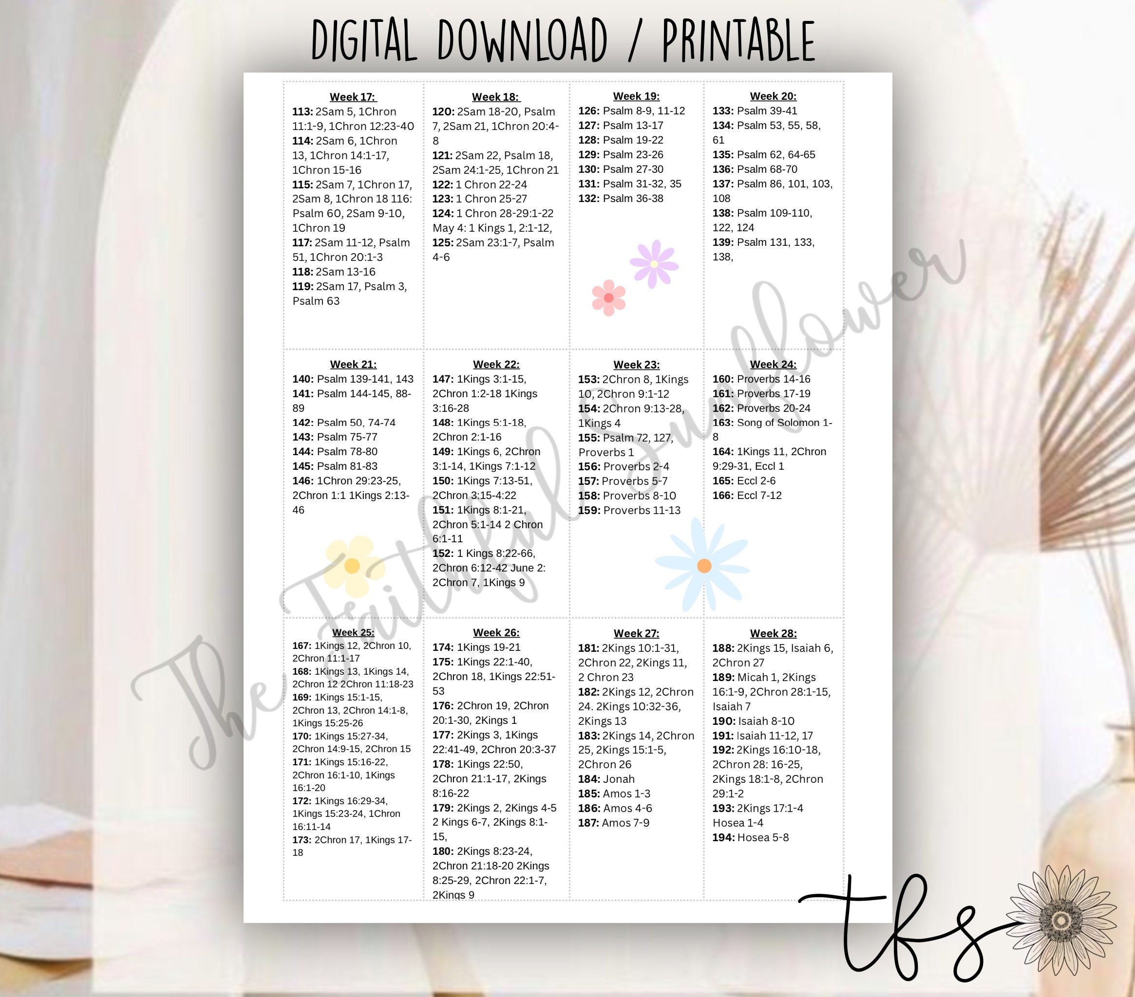 One Year Chronological Bible Reading Plan, Not Dated, PDF Printable ...
