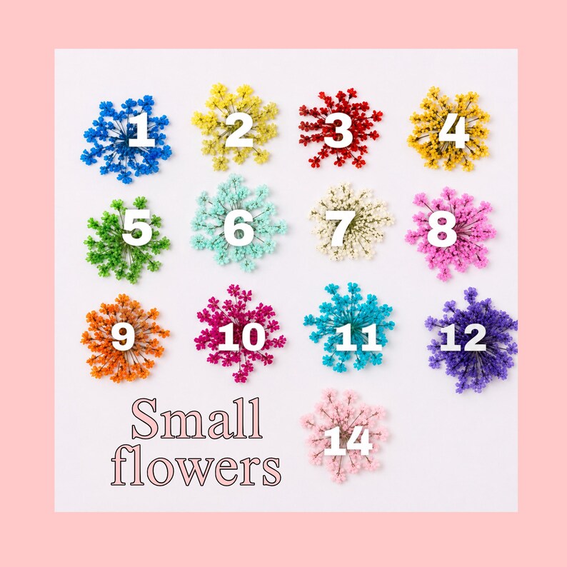 May include: A collection of thirteen small dried flowers arranged in a grid, each labeled with a white number from 1 to 12 and 14. The flowers are dyed in various colors including blue, yellow, red, green, turquoise, white, pink, orange, and purple.