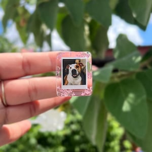 May include: A rectangular resin ring featuring a clear frame embedded with small pink dried flowers. The center of the ring displays a miniature square photograph of a brown and white dog with a black nose and ears, captured in a portrait style.