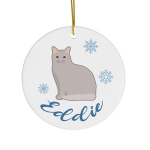 Gray Fluffy Cat Ornament Persian Cat Custom Cat Ornament Angora Cat Personalized Cat Gray Cat Mom Ornament Persian Cat Dad Ornament