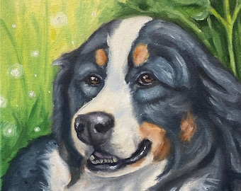 Bernese Mountain Dog Fine Art Print