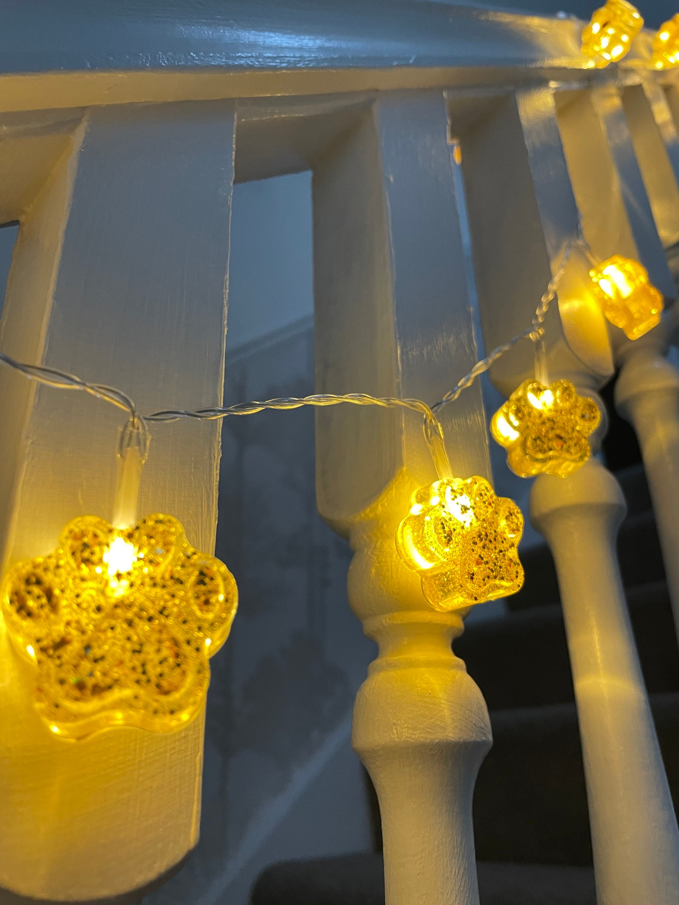Paw print 2024 string lights