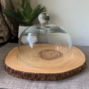 Glasglocke mit Käseplatte: Display Dome