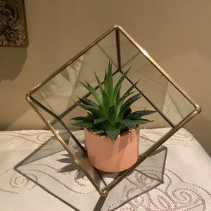 Vintage Brass Glass Terrarium