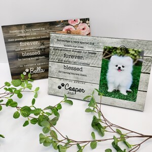 Personalized Pet Memorial Frame: Custom Dog & Cat Loss Gift