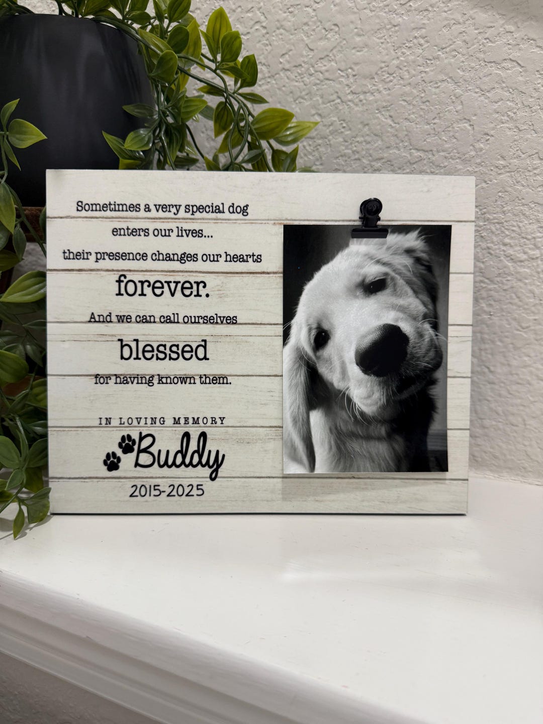 Custom Pet Memorial Frame Personalized Dog Puppy Loss Gift Pet ...