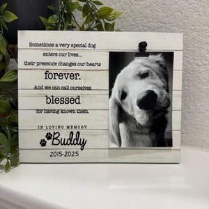 May include: A wooden photo frame with a black and white image of a dog. The frame has text that reads "Sometimes a very special dog enters our lives... forever. And we can call ourselves blessed... In loving memory Buddy 2015-2025."