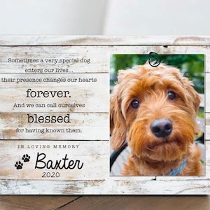 Pet Memorial Frame Pet Loss Sympathy Gift Dog Cat Keepsake Custom Picture Remembrance Grief Present Beloved Companion Rainbow Bridge Memory