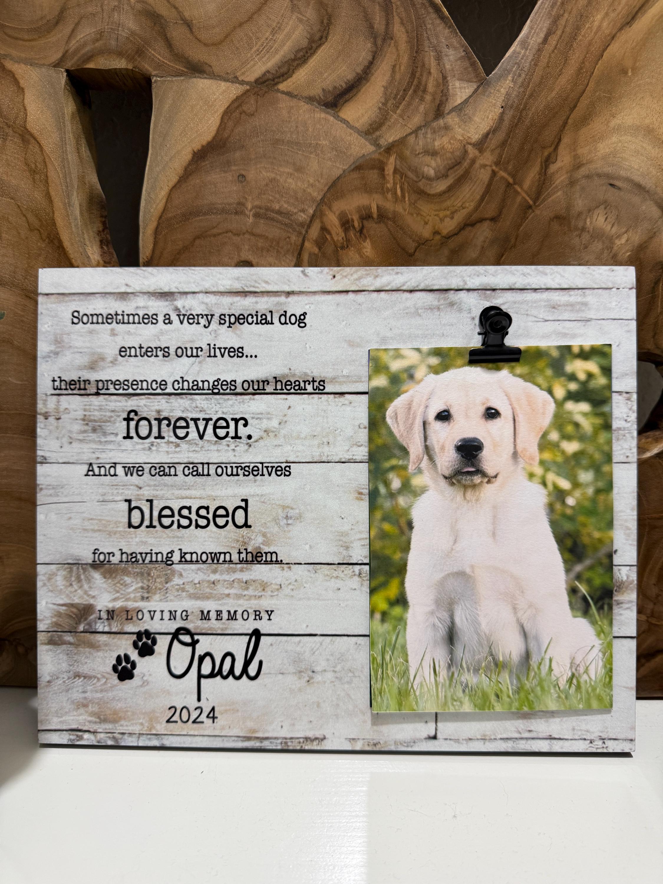 Cornice Commemorativa Per Cani E Gatti | Ponte Arcobaleno | Legno 20,3x14,7 Cm | Regalo Perdita Animale - 2