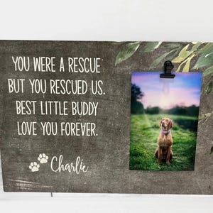 Who Rescued Who Pet Memorial Frame – Dog Loss Gift – Cat Loss Gift – Personalized Pet Remembrance – Pet Sympathy Gift – Dog Mom Gift