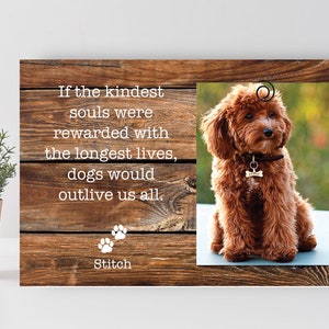 Personalized Pet Memorial Frame: Custom Dog & Cat Loss Gift