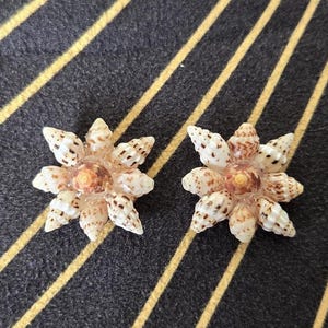 May include: Two seashell flower ornaments with a brown and white speckled pattern. The seashells are arranged in a starburst shape. The background is a black fabric with gold stripes.