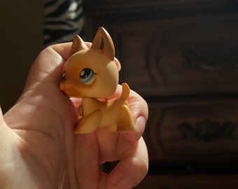 lps sitting down cat