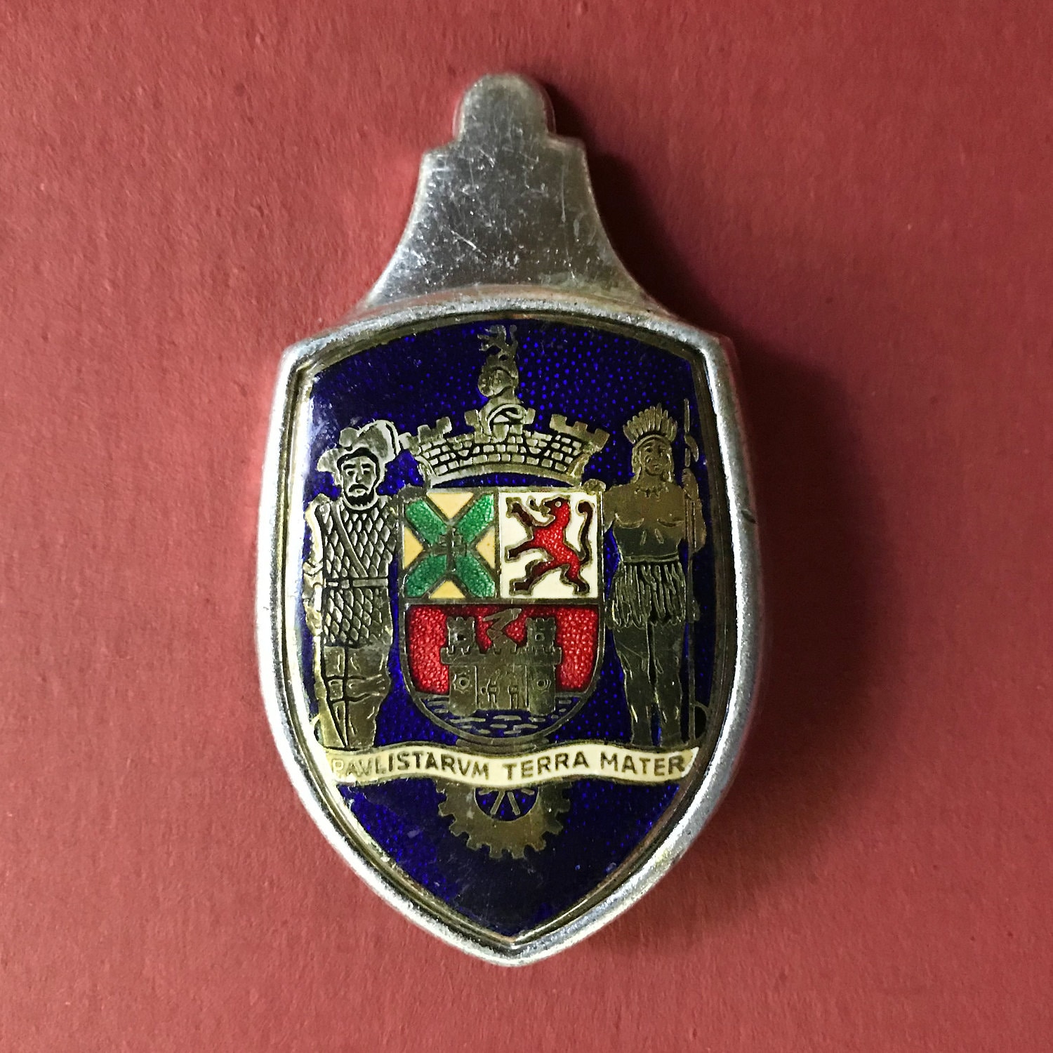 Vintage Vw Emblem 