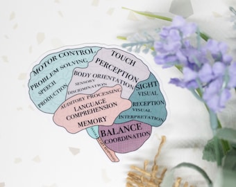 Brain Function Sticker, Functions of the Brain, Brain Sticker, Psychology Sticker, Labeled Lobes Sticker, Labeled Brain Sticker, Anatomy