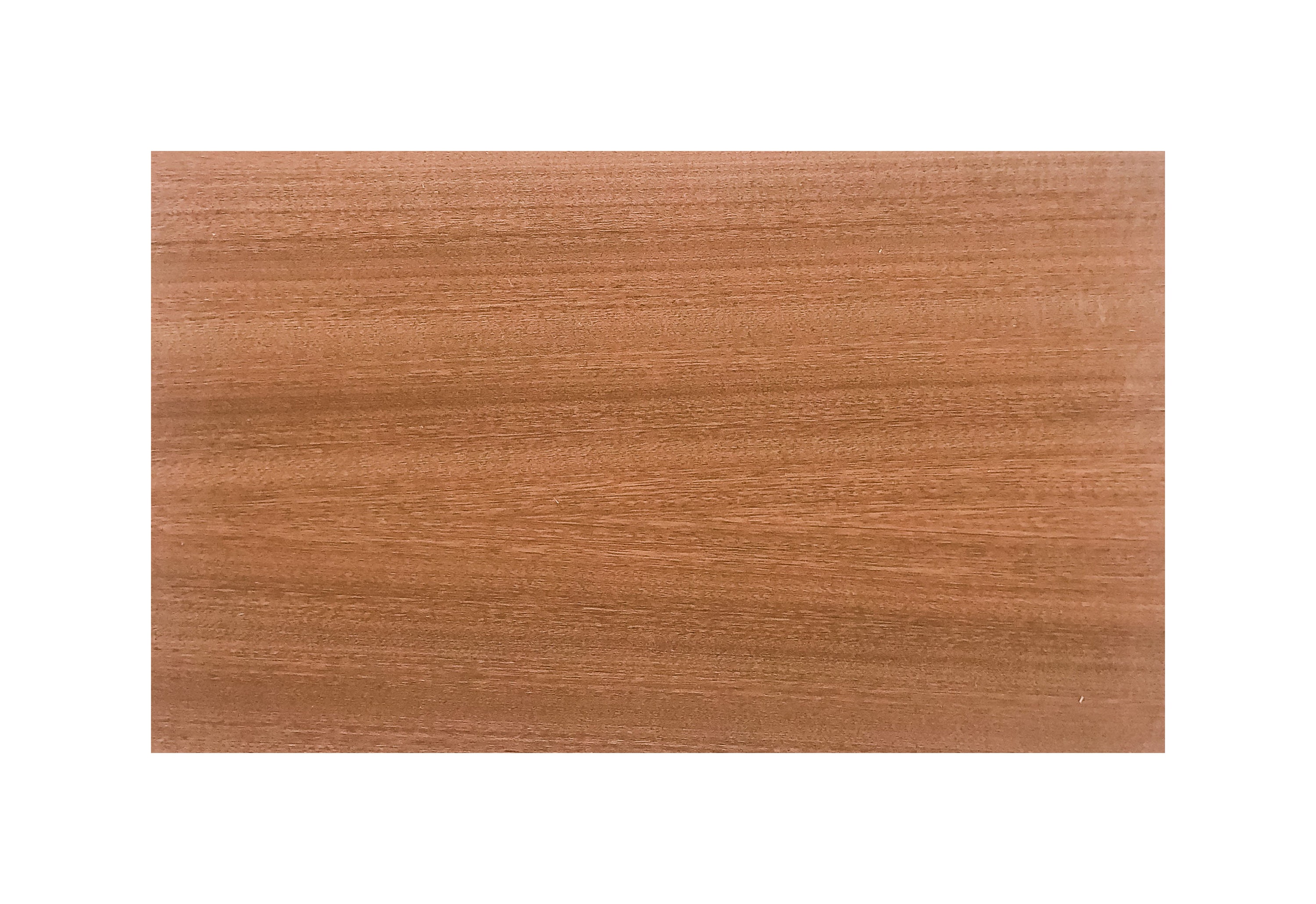 38kt miyabi wood(sapele） | NODELDESIGN ONLINE STORE