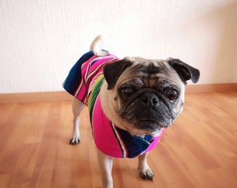 dog poncho mexican