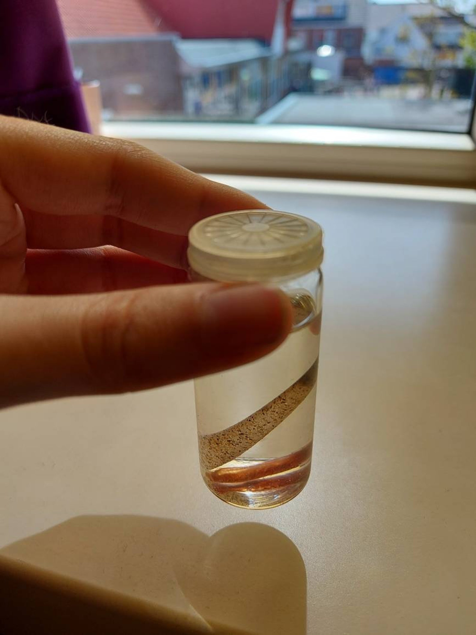 Formalin Fixed Rat Tail Jar Wet Specimen Taxidermy Etsy