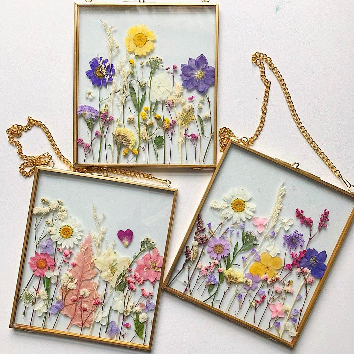 Set of Twelve Framed Pressed Flower Prints - Natural