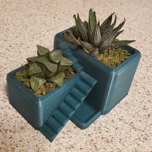 May include: A teal-colored, 3D-printed planter with a stepped design, holding two succulents. One succulent is green with textured leaves, and the other has white-speckled, pointed leaves. The planter is filled with green moss.