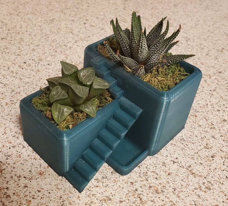 May include: A teal-colored, 3D-printed planter with a stepped design, holding two succulents. One succulent is green with textured leaves, and the other has white-speckled, pointed leaves. The planter is filled with green moss.