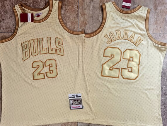 jordan 23 swingman jersey