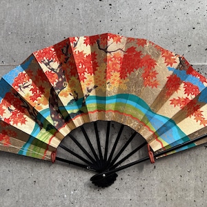 Folding fan, Vintage paper fan, Japanese vintage fan
