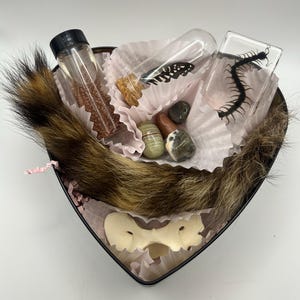 Beginner Oddity Box | Wet Specimen Butterfly Coyote Atlas Bone Bug In Resin Raccoon Tail Curiosity Gothic Vulture Culture Valentines Day|