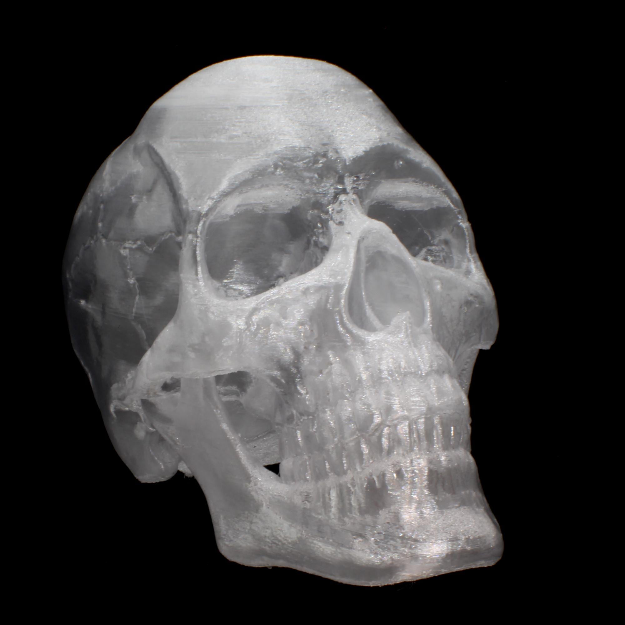 Translucent Crystal Skull 3d-print: Gem-like Finish, 6 Inches - Etsy