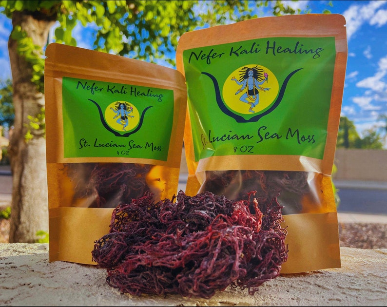 Purple Sea Moss Harvested From St Lucia Etsy