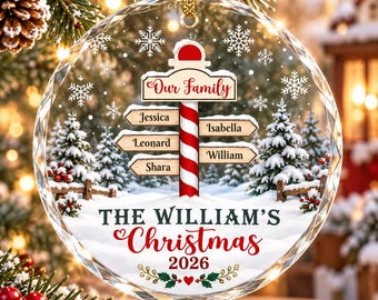 Personalized Family Christmas Ornament 2026, Custom Family Name Ornament, Christmas Signpost Keepsake, Holiday Gift for Family