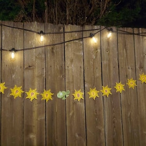 Rapunzel Birthday Banner/ Sparkly Banner/ Free Shipping