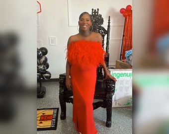 Ostrich Feather Dress