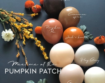 Rustic Fall Boho Balloon Garland Kit | Fall Balloon Arch Set | Little Pumpkin, Fall Party Decor, Baby Shower Fall Theme, Fall Themed Baby