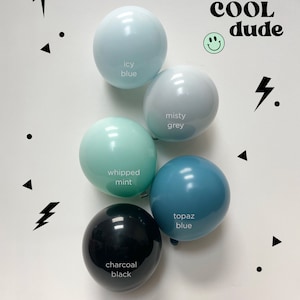 May include: A set of six balloons in various colors, including icy blue, misty grey, whipped mint, topaz blue, and charcoal black. The balloons are arranged in a circle on a white background. The text "one COOL dude" is written in black letters on a white background above the balloons. The text "POP FEST CO" is written in black letters on a white background below the balloons.