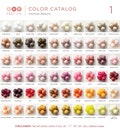 Custom Individual Balloon Colors | CHOOSE Your Colors, Birthday Party Decor, Baby Shower, High Quality Double Stuffed Matte, Blush, Neutrals
