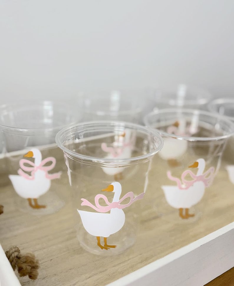 Silly Goose Party Cups, One Silly Goose, Country Goose, Baby Shower, First Birthday, Disposable Plastic Cups, Pink Silly Goose, Sage Green Light Pink Ribbon
