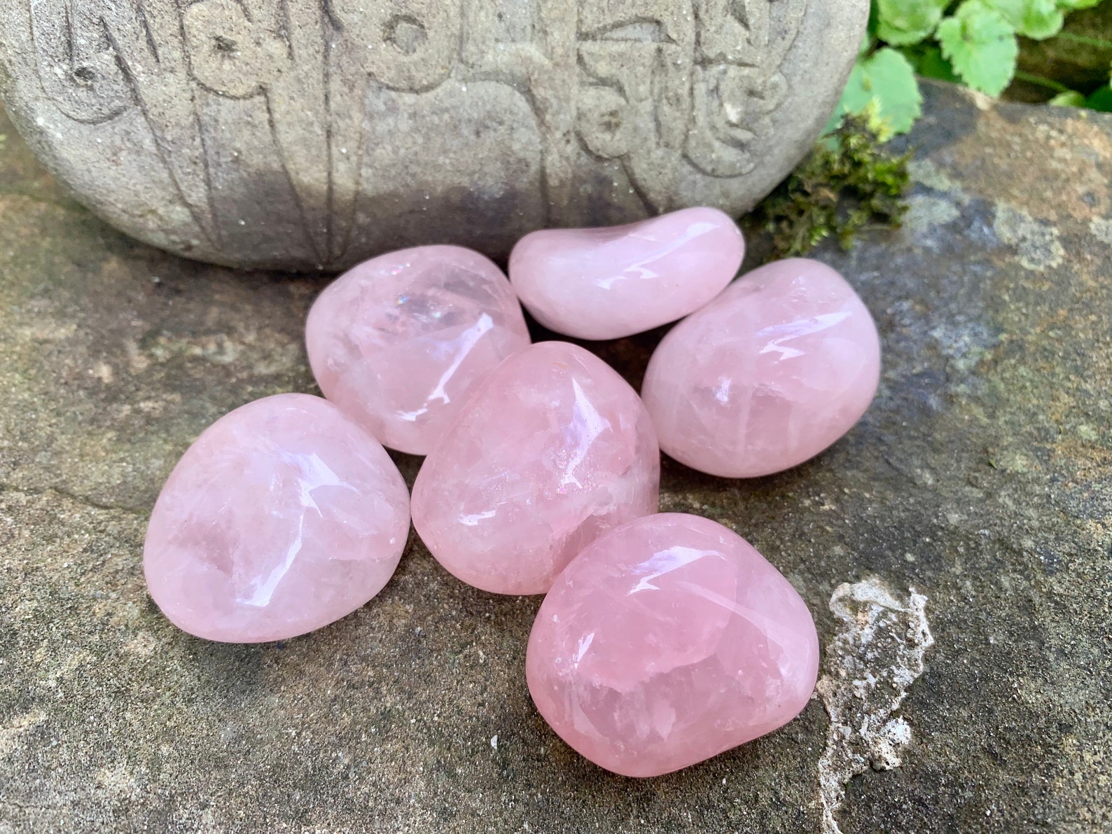 Polished Tumbled Rose Quartz Crystal | Etsy