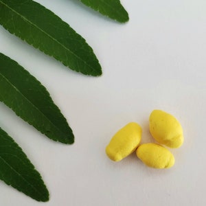 Lemon Polymer Clay Miniatures - Polymer Clay Lemonade Lemon Minis - Polymer Clay Summer Lemon Minis - Polymer Clay Lemon Fruit Dollhouse