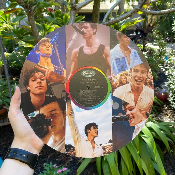 Shawn Mendes Vinyl Collage