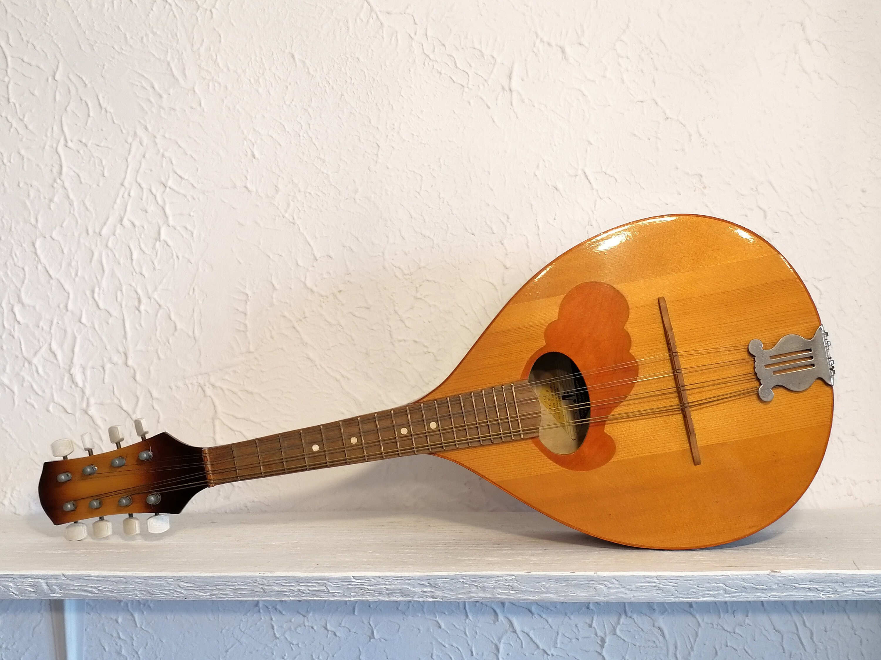 Vintage Mandolin instrument 8string/ RARE collectible Musical Etsy