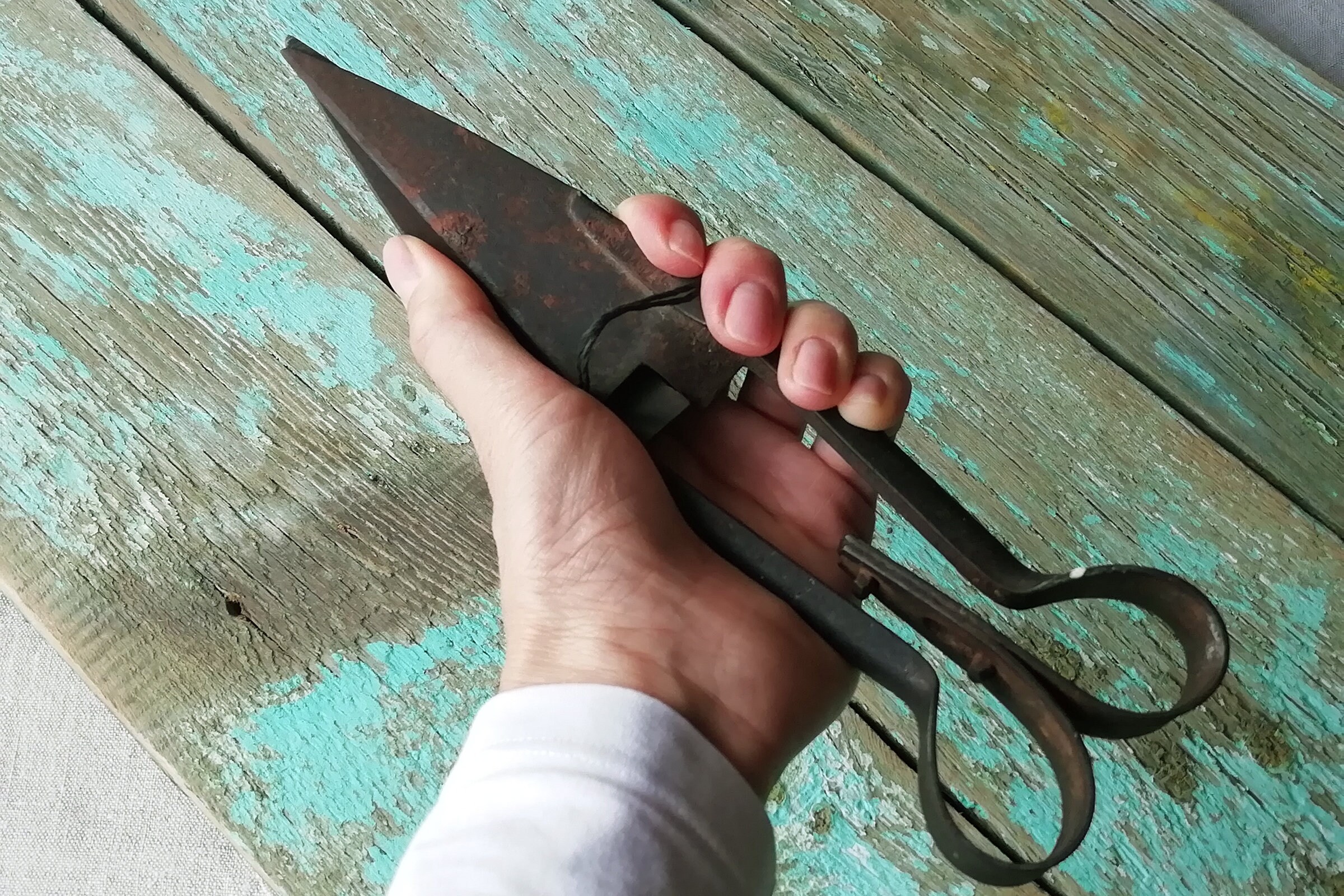 Old rusty sheep shears Vintage farm tool. Antique hand sheep Etsy